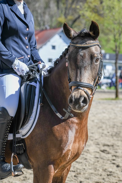 官方：西班牙名哨“平方哥”将执法欧冠利物浦vs埃因霍温