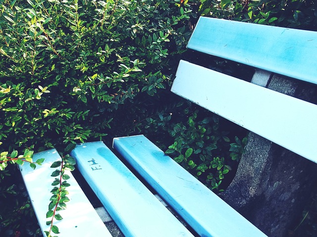 反观曼城的 反观曼城的