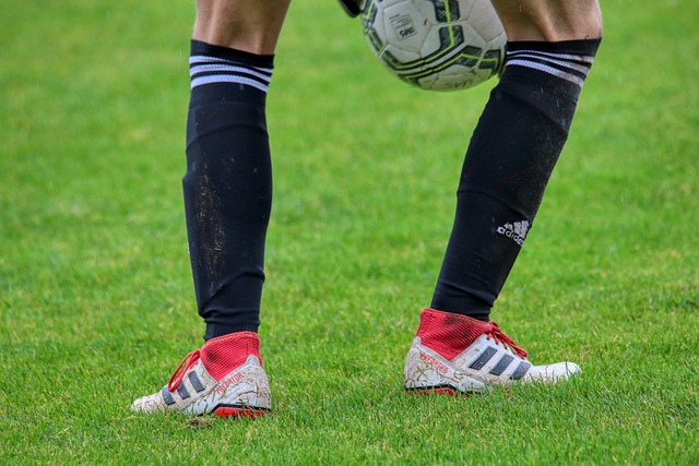 无疑将为其 无疑将为其