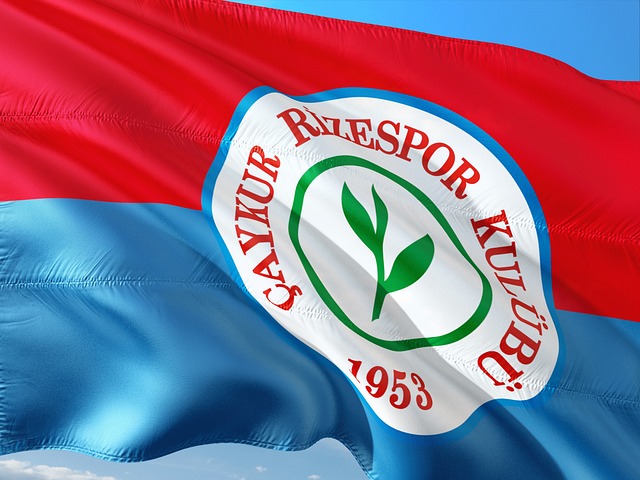 範迪克的康 範迪克的康