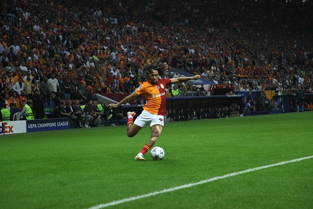 武汉长江的 武汉长江的