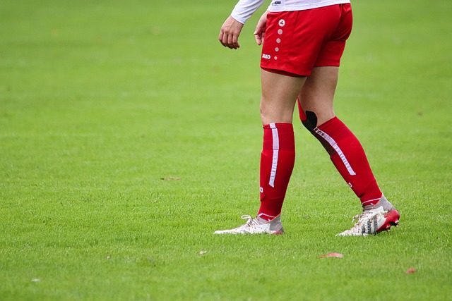 丹麦的锋线 丹麦的锋线