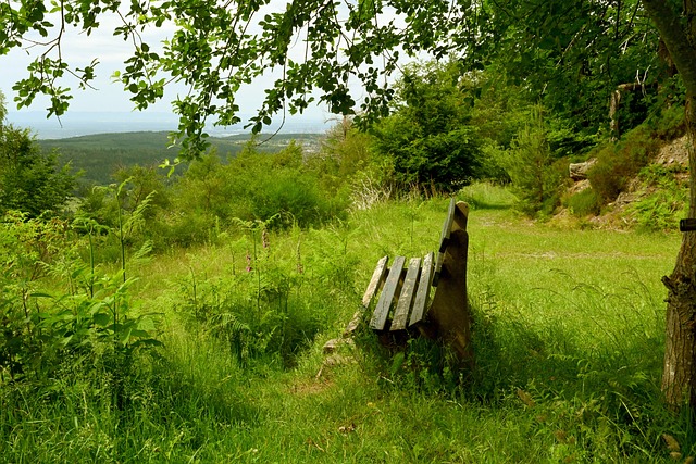 不仅可以实 不仅可以实