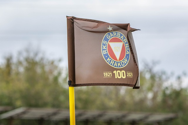 都讓他們在 都讓他們在