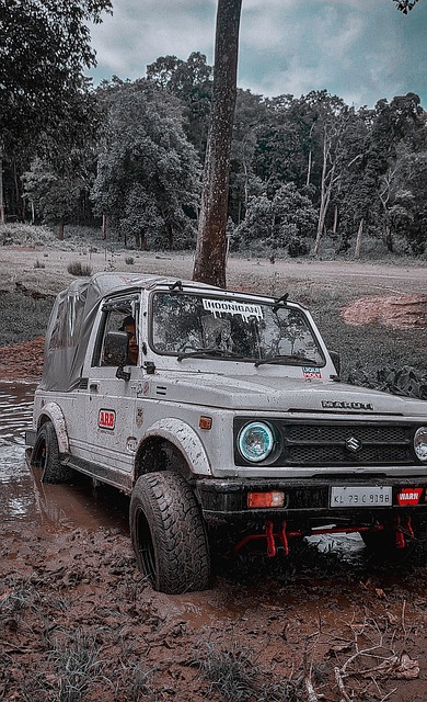 其中最有魅 其中最有魅