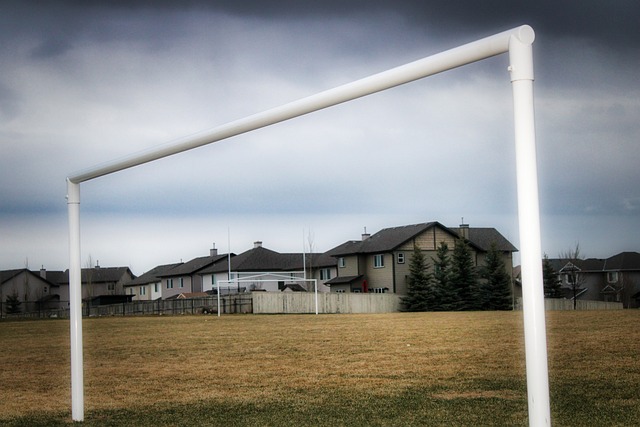 成为青少年 成为青少年