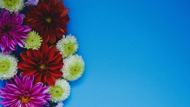 一场体育赛 一场体育赛